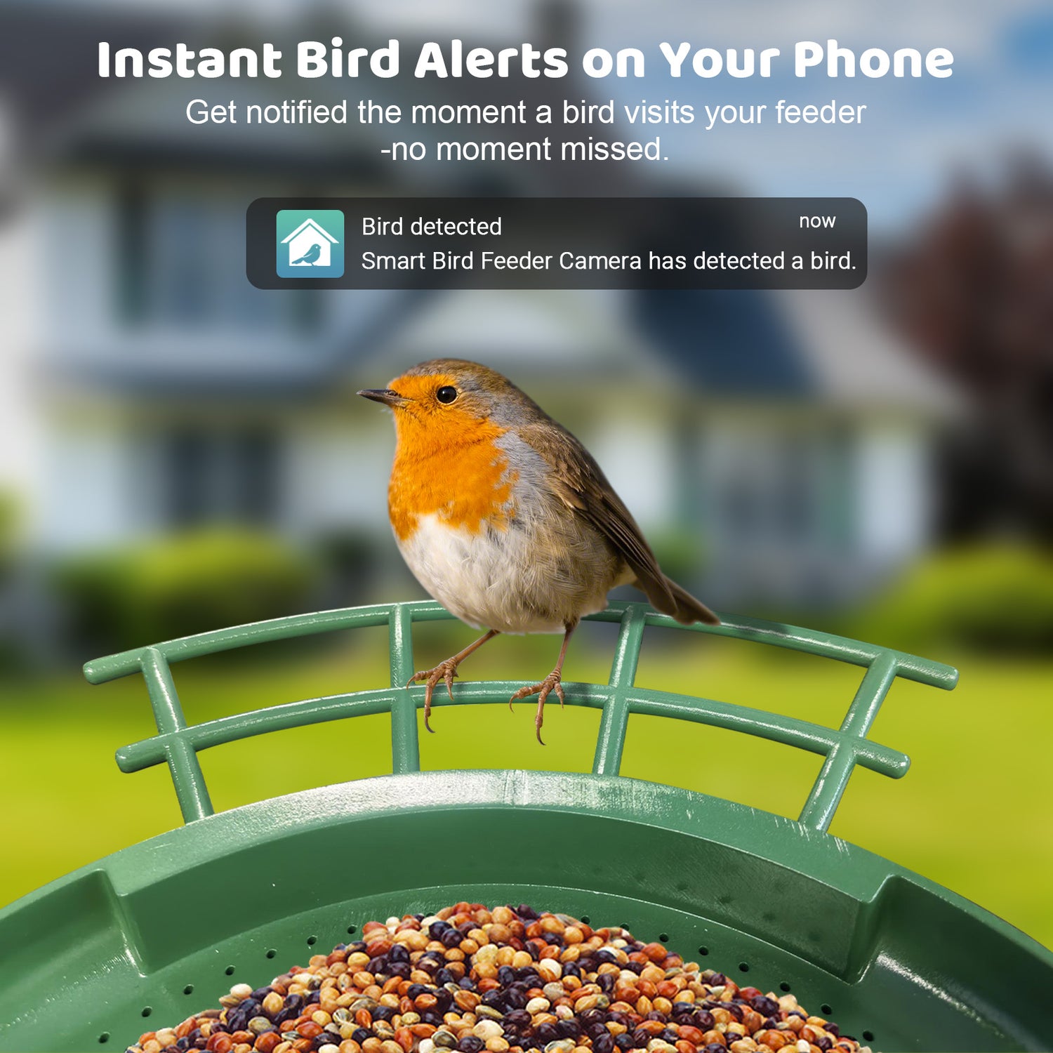 Smartes Vogelhaus mit Kamera: Rotkehlchen sitzt am Futterspender mit Körnern; Push-Mitteilung 'Vogel erkannt' eingeblendet.