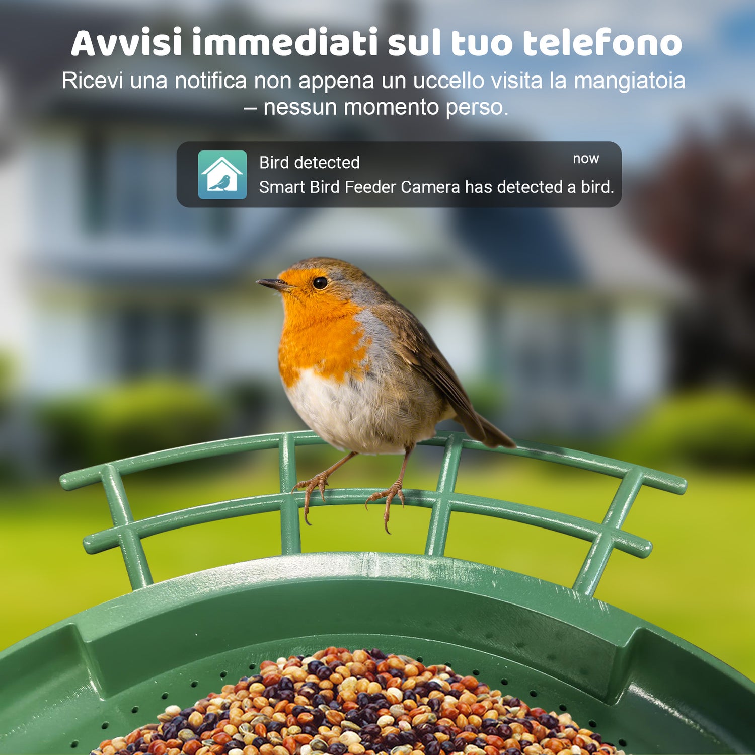 Smartes Vogelhaus mit Kamera: grüner Futterspender mit Rotkehlchen; Push-Benachrichtigungen bei Vogelerkennung.