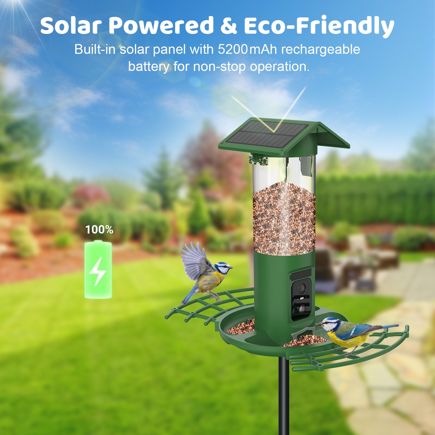 Solarbetriebenes Vogelhaus mit Kamera: grüner Vogelfutterspender mit integriertem Solarpanel und 5200-mAh-Akku, zwei Blaumeisen am Futterplatz im Garten