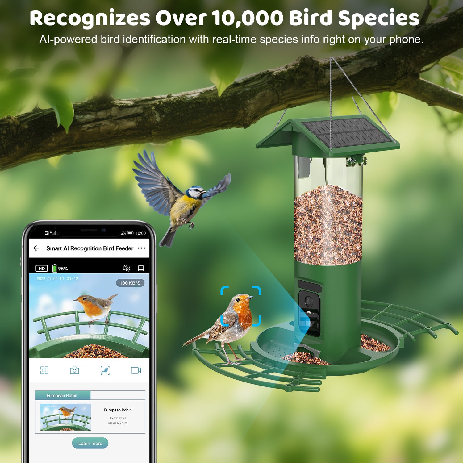 Smartes Vogelhaus mit Kamera und Solarpanel, KI-Vogelerkennung per App, grüner Futterspender mit Rotkehlchen und Blaumeise