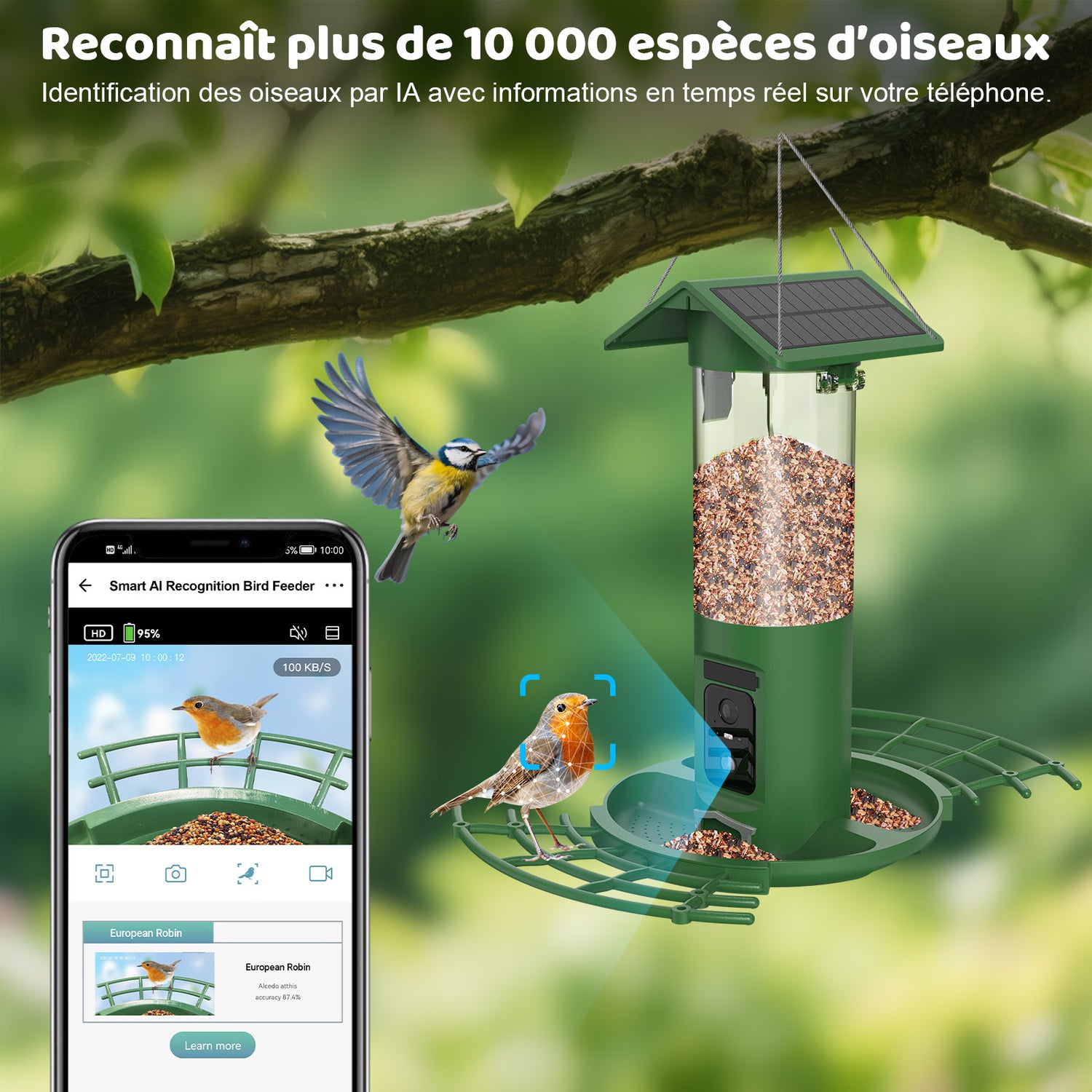 Grüner, solarbetriebener Smart-Vogelfutterspender mit integrierter Kamera; KI erkennt Vogelarten in Echtzeit und sendet Infos an die Smartphone-App; Blaumeise fliegt heran, Rotkehlchen sitzt am Rand