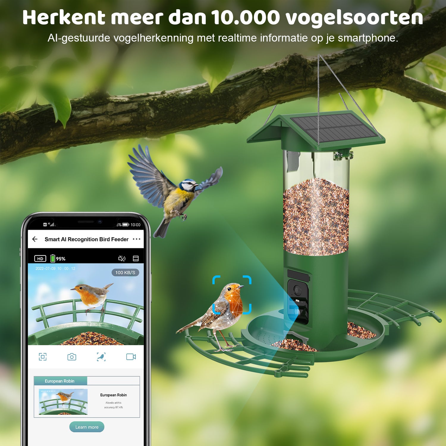 Grüner smarter Vogelfutterspender mit Kamera und Solarpanel von Vogelhaus-mit-kamera.com; KI erkennt über 10.000 Vogelarten; Smartphone-App zeigt Echtzeit-Infos; Blaumeise und Rotkehlchen am Futter