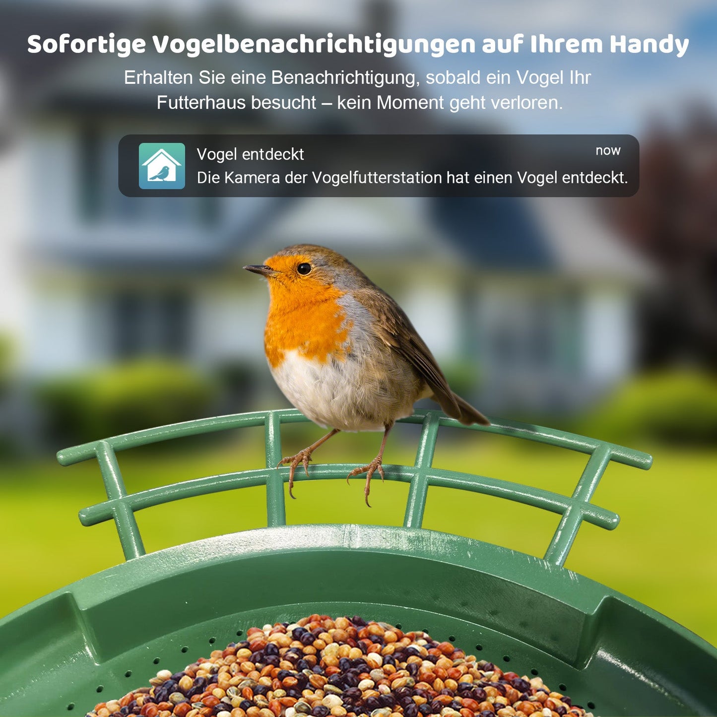 Ein Vogel sitzt auf der Vogelfutterstation DualCam von Sanilu. Text im Bild: Sofortige Vogelbenachrichtigungen auf Ihrem Handy
Erhalten Sie eine Benachrichtigung, sobald ein Vogel Ihr Futterhaus besucht – kein Moment geht verloren.