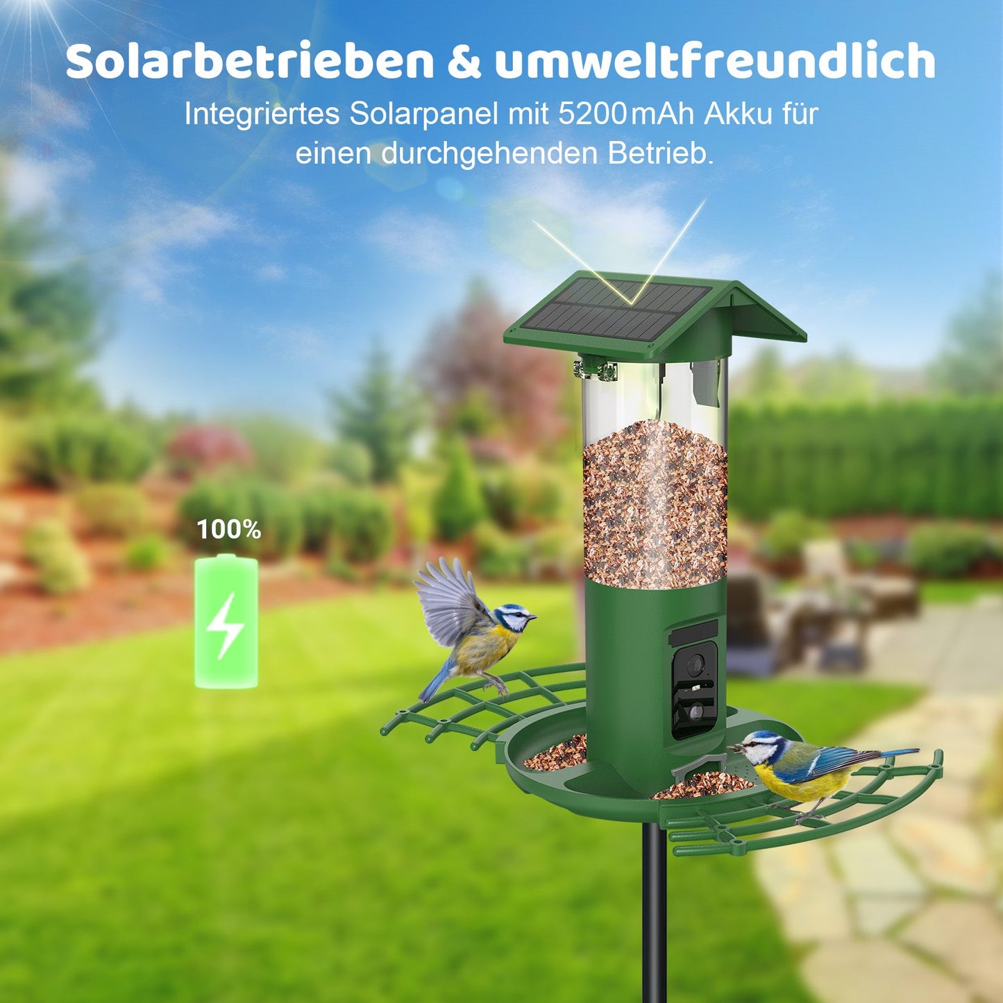 Vogelfutterstation DualCam von Sanilu - Solarbetrieb demonstriert mit zwei Vögeln, die an der Vogelfutterstation sitzen. Text im Bild: Solargetrieben & umweltfreundlich
Integriertes Solarpanel mit 5200 mAh Akku für einen durchgehenden Betrieb.