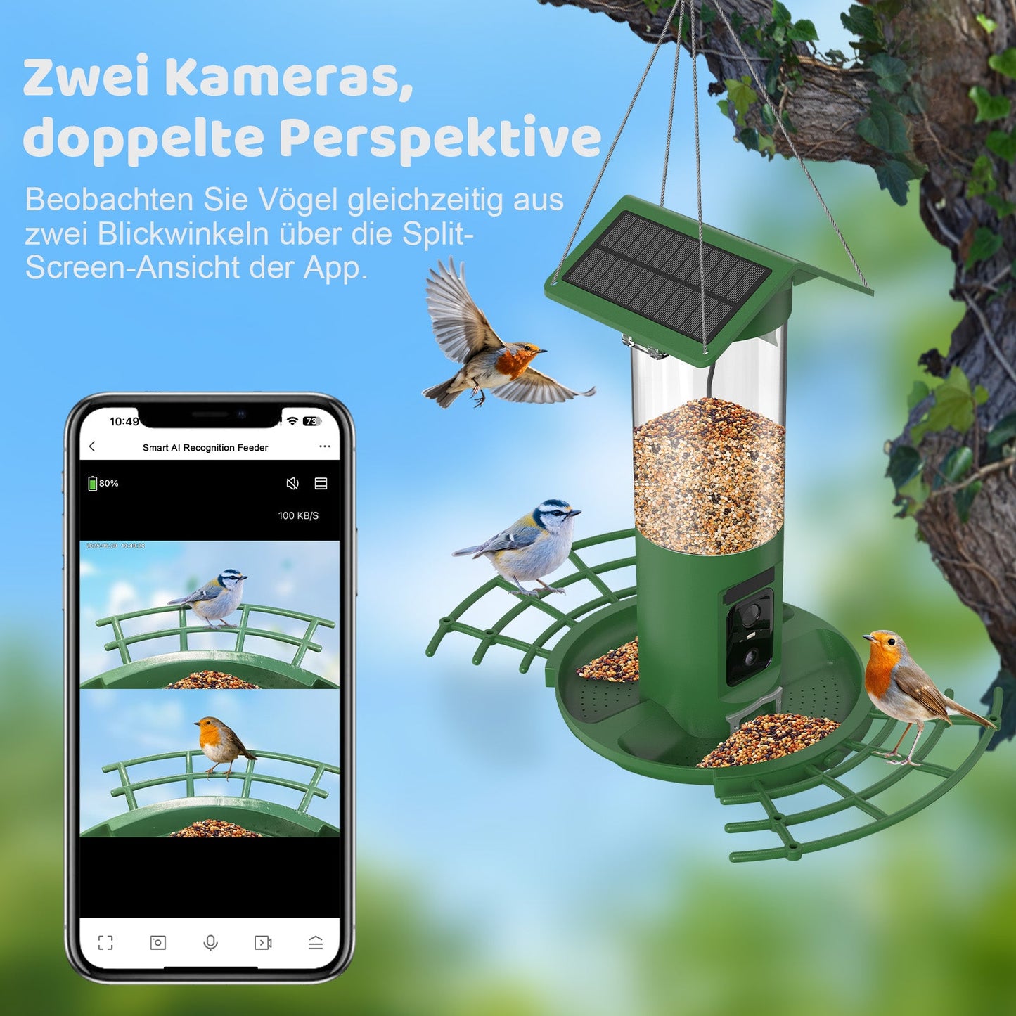 Vogelfutterstation DualCam von Sanilu - Zwei Kameras - Doppelte Perspektive - Aufschrift: Zwei Kameras, doppelte Perspektive
Beobachten Sie Vögel gleichzeitig aus zwei Blickwinkeln über die Split-Screen-Ansicht der App.