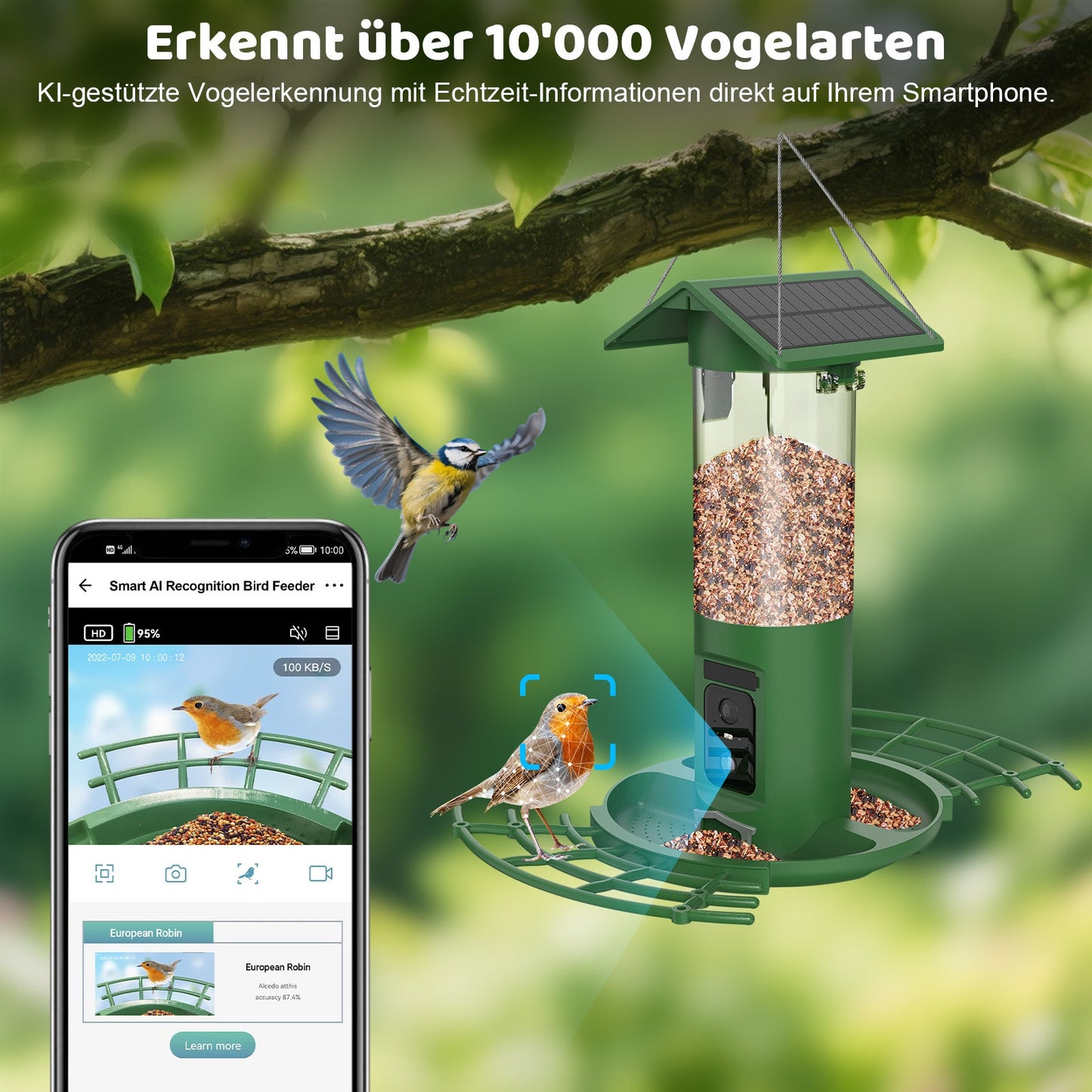 Vogelfutterstation DualCam - Erkennt über 10'000 Vogelarten
KI-gestützte Vogelerkennung mit Echtzeit-Informationen direkt auf Ihrem Smartphone.