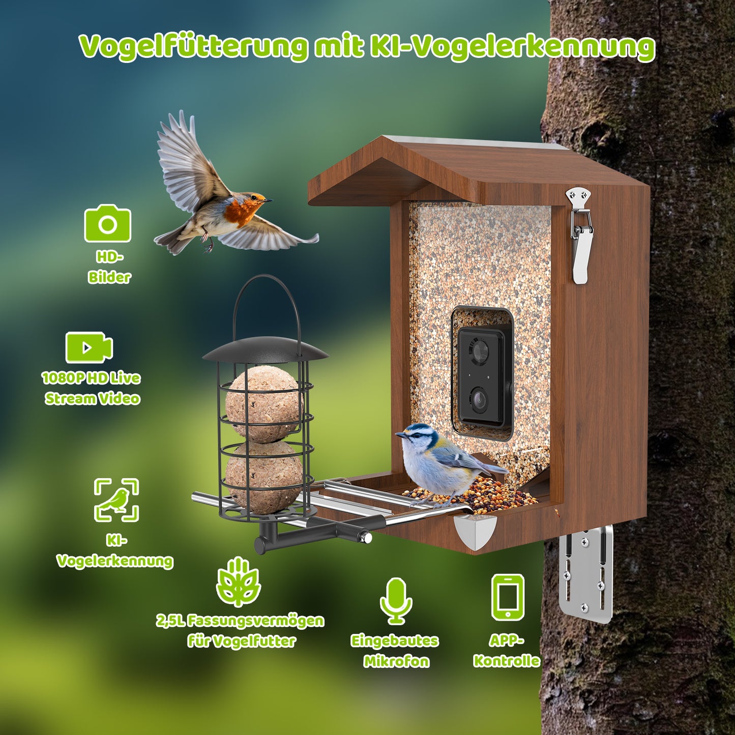 Holz-Vogelhaus mit eingebauter Kamera an einem Baum montiert, Futterkammer mit Meisenknödelhalter und Sitzstange, zwei Vögel, Symbole für 1080p HD‑Livestream, KI‑Vogelerkennung, 2,5 L Futtervolumen, eingebautes Mikrofon und App‑Steuerung