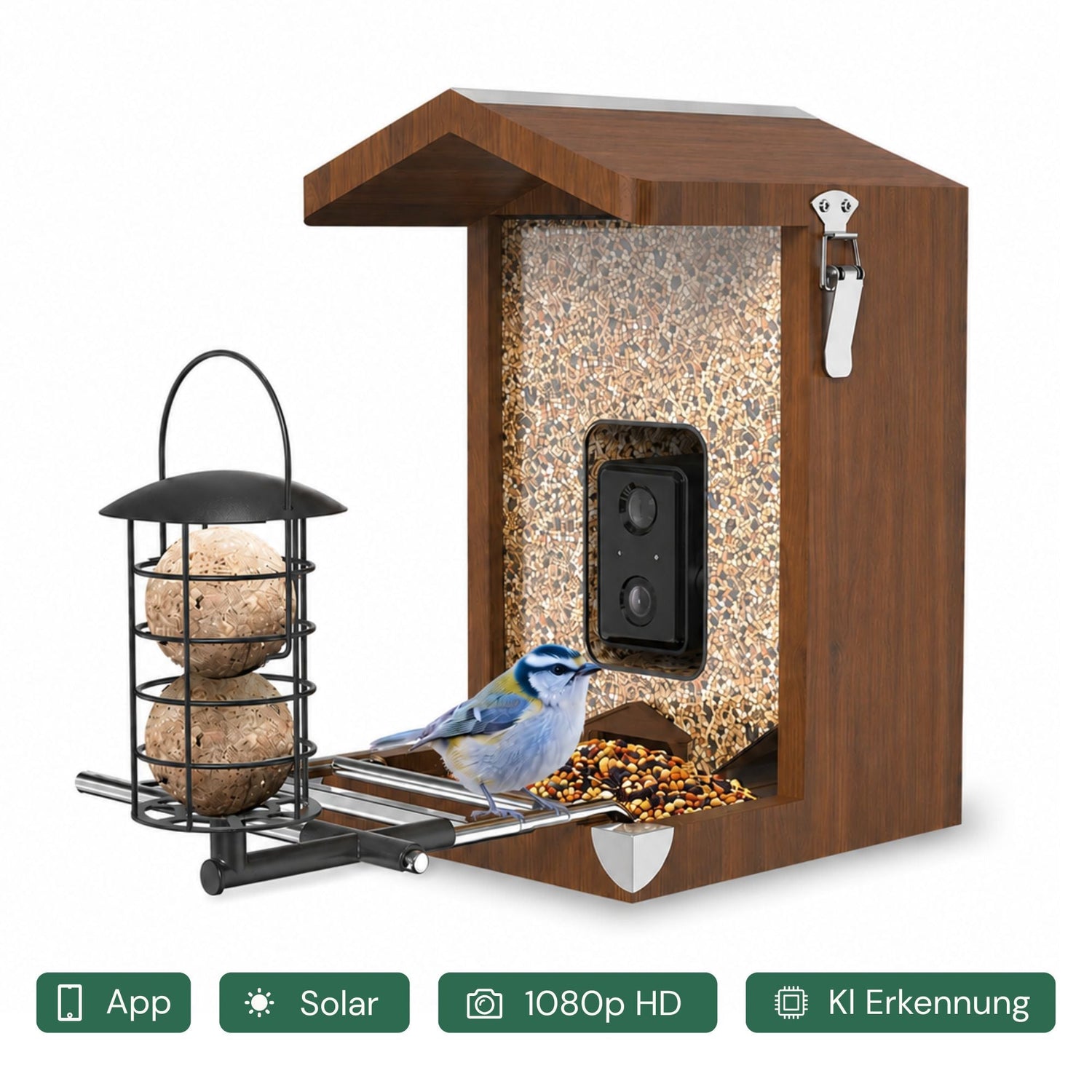 Vogelhäuser mit Kamera