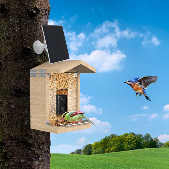 Vogel fliegt zum Vogelfutterhaus mit Solarpanel, welches an einem Baum angebracht ist