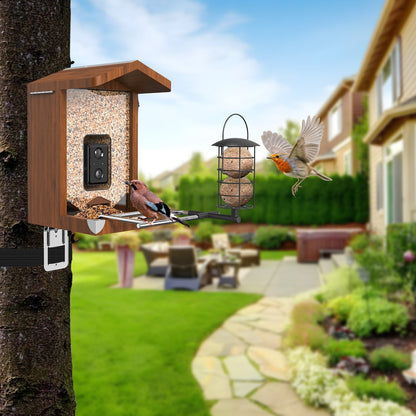 Vogelhaus aus Holz mit eingebauter Kamera an Baum befestigt, Futterschale und Meisenknödelhalter, zwei Vögel füttern vor Gartenhintergrund