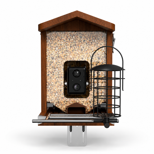 Vogelfutterhaus mit Kamera