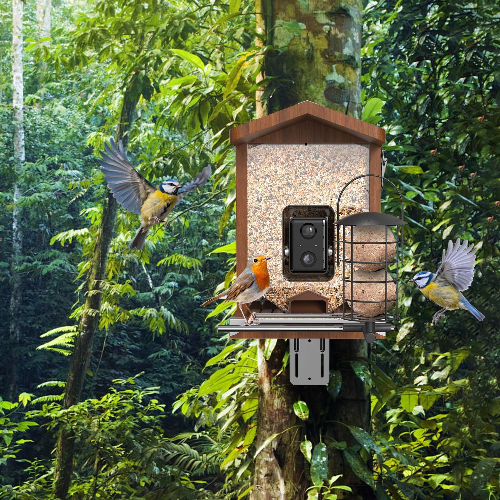 Holz-Vogelhaus mit integrierter Kamera, großem Futterschacht und seitlichem Fettkugelhalter, an Baum im Wald montiert, zwei Blaumeisen und ein Rotkehlchen am Futter