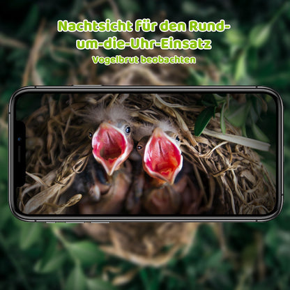 Nachtsicht-Ansicht der Vogelhaus mit Kamera Produkte - Ein Handyfoto mit zwei Vogelküken ist sichtbar
