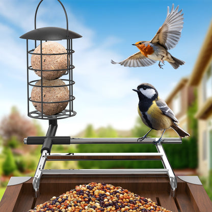 Vogel-Futterstation mit Metallgitter für Fettkugeln, verstellbare Sitzstange über Holztrog mit Mischsaat, Kohlmeise sitzt auf der Stange und Rotkehlchen fliegt vor unscharfem Gartenhintergrund