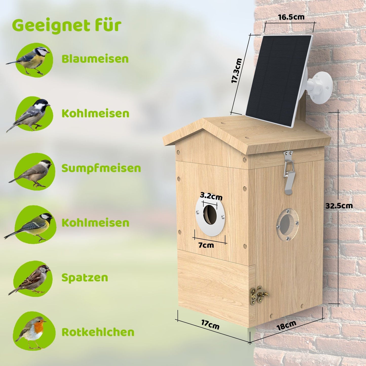 Vogel Nistkasten mit Kamera und Solarpanel - Maße in Centimetern des Produkts und geeignete Vögel mit Portraits