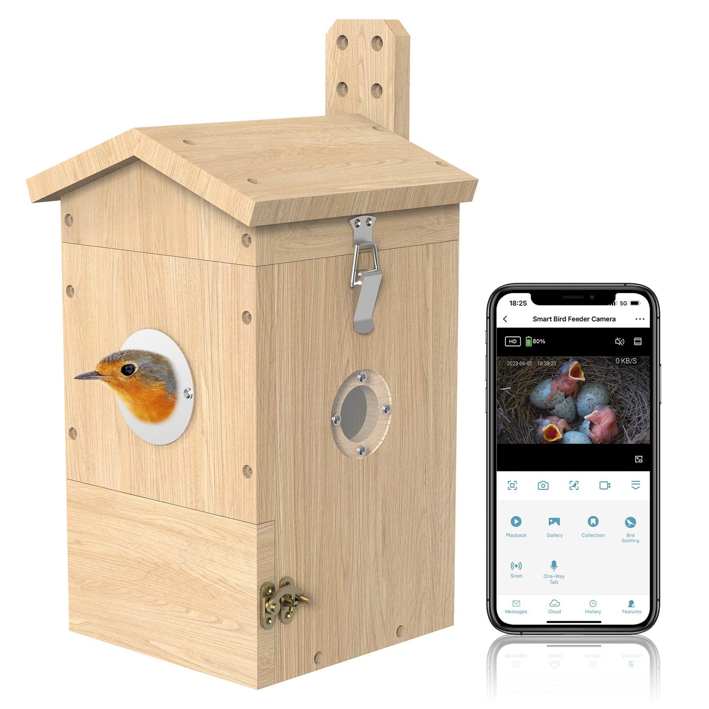 Vogel Nistkasten mit Kamera, aus dem ein Vogel hinausguckt - Daneben die BirdLover App, die Aufnahmen vom Innenraum des Vogel Nistkastens mit Küken zeigt