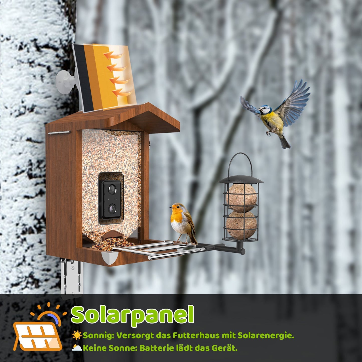 Holz-Vogelhaus mit integrierter Kamera und Solarpanel, Futterspender mit Körnern und Meisenknödelhalter, Rotkehlchen auf Sitzstange und Blaumeise im Flug vor verschneitem Baumhintergrund