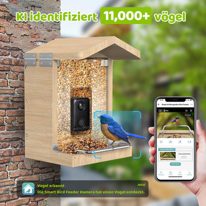 Vogelfutterhaus mit Kamera - Vogel sitzt auf der Sitzstange - App benachrichtigt über Vogel