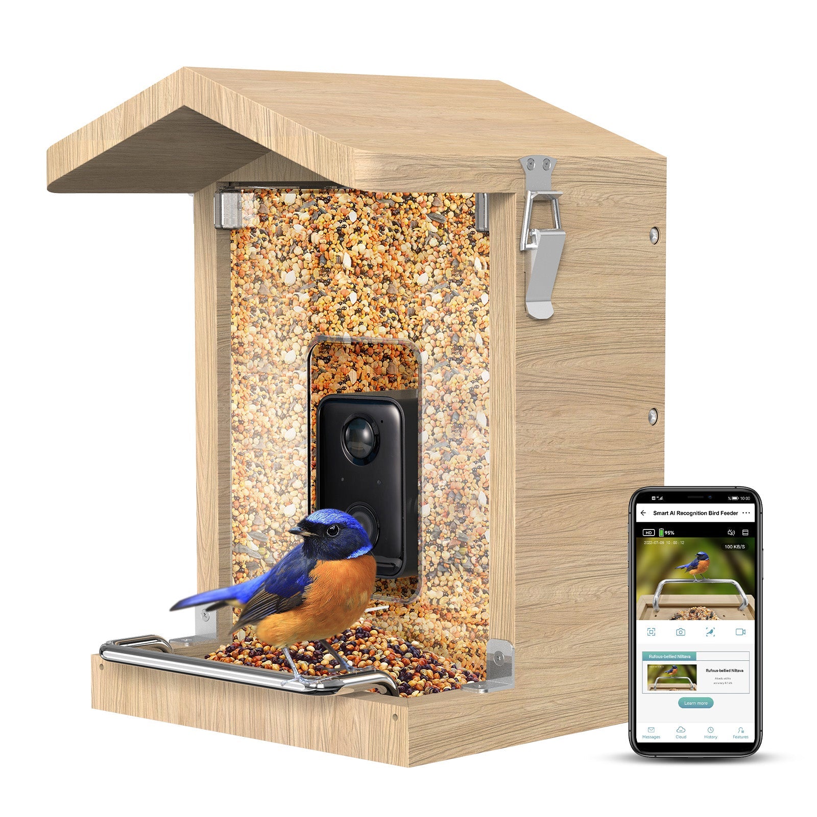 Vogelfutterhaus mit Kamera, Handy mit BirdLover-App und Vogel auf der Sitzstange