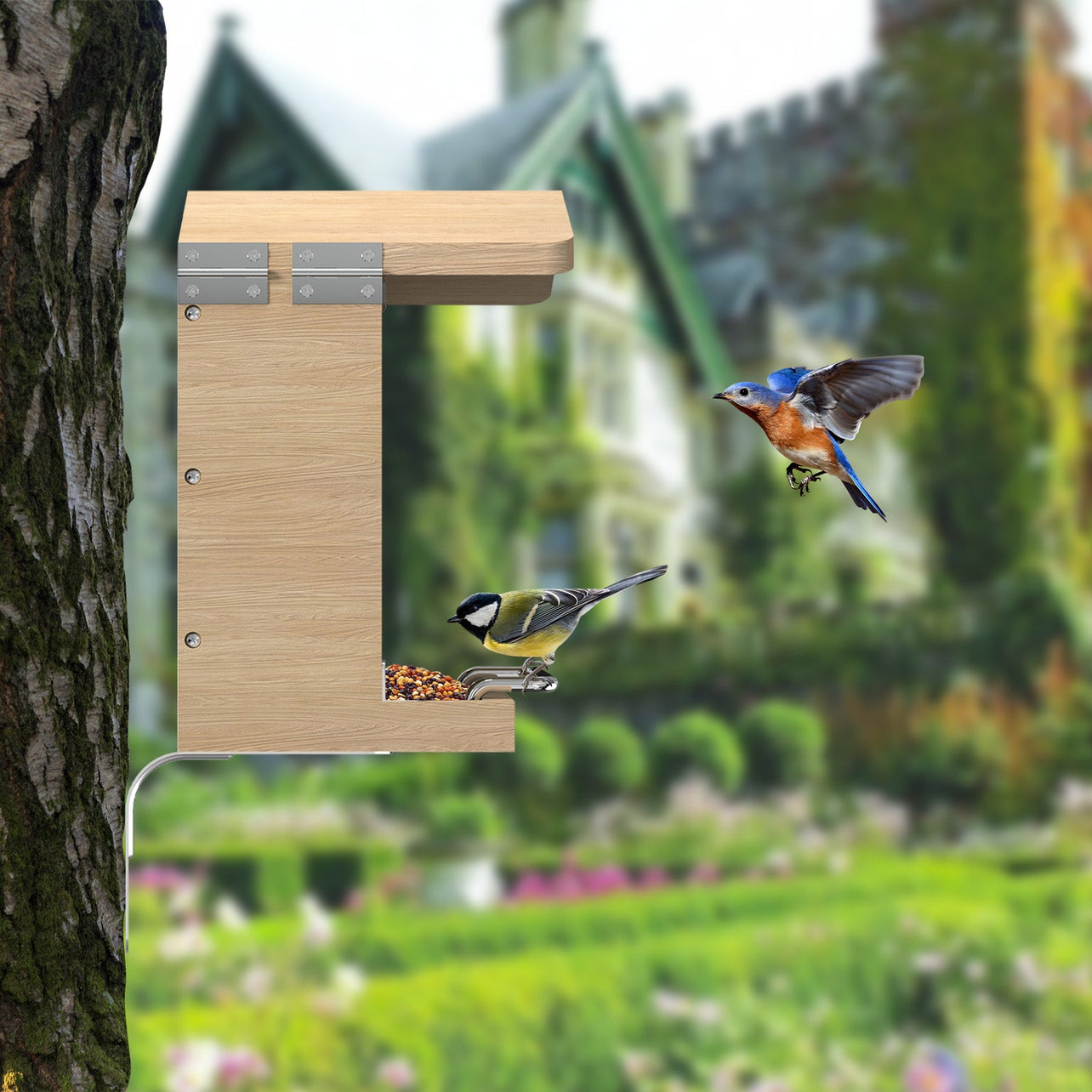 Vogelhaus mit Kamera Vögel im eigenen Garten erleben