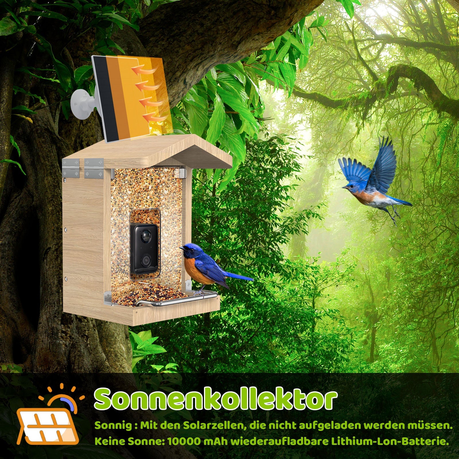 Das Solarpanel des Vogelfutterhauses mit Kamera lädt die Batterie der integrierten Kamera
