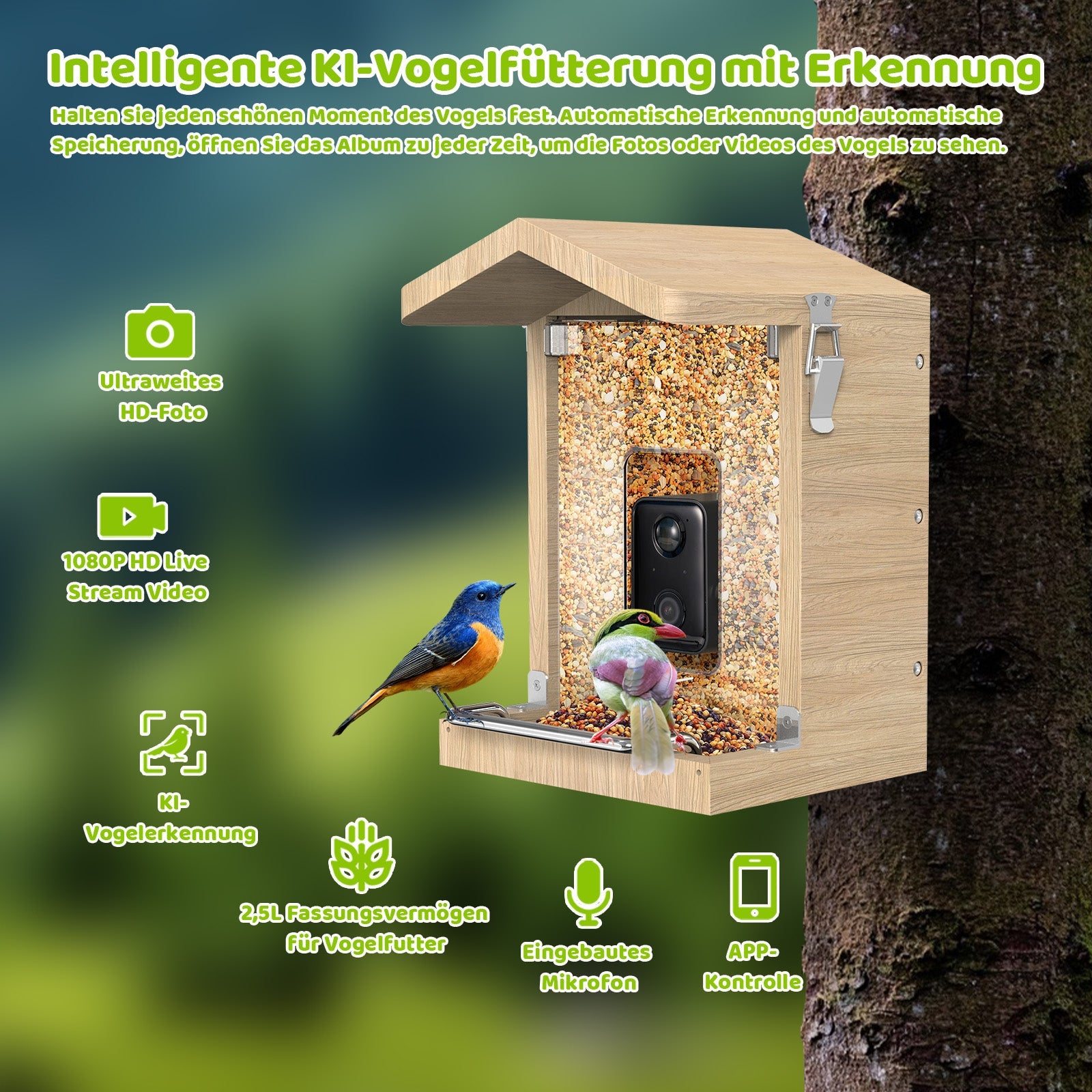 Vogelfutterhaus mit Kamera - Zwei Vögel sitzen auf den Sitzstangen - Daneben Icons mit Vorteilen des Vogelfutterhauses