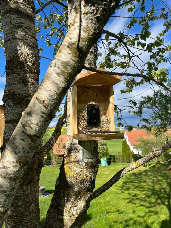 Vogelfutterhaus mit Kamera an einem Baum