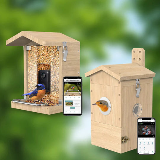 Vogelfutterhaus mit Kamera und Vogel Nistkasten mit Kamera gemeinsam im Bild - Ein Vogel sitzt auf dem Vogelfutterhaus und ein Vogel schaut aus dem Vogel Nistkasten heraus. Es sind zwei Handys zu sehen, die die Kamera-Aufnahmen innerhalb der BirdLover App verdeutlichen