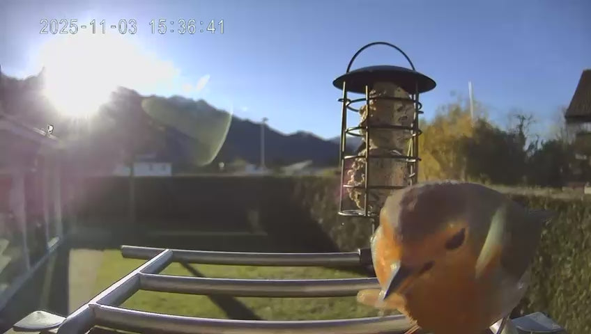 Video laden: https://youtu.be/FMrsiLl3qv4