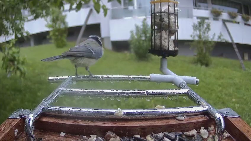 Video laden: 